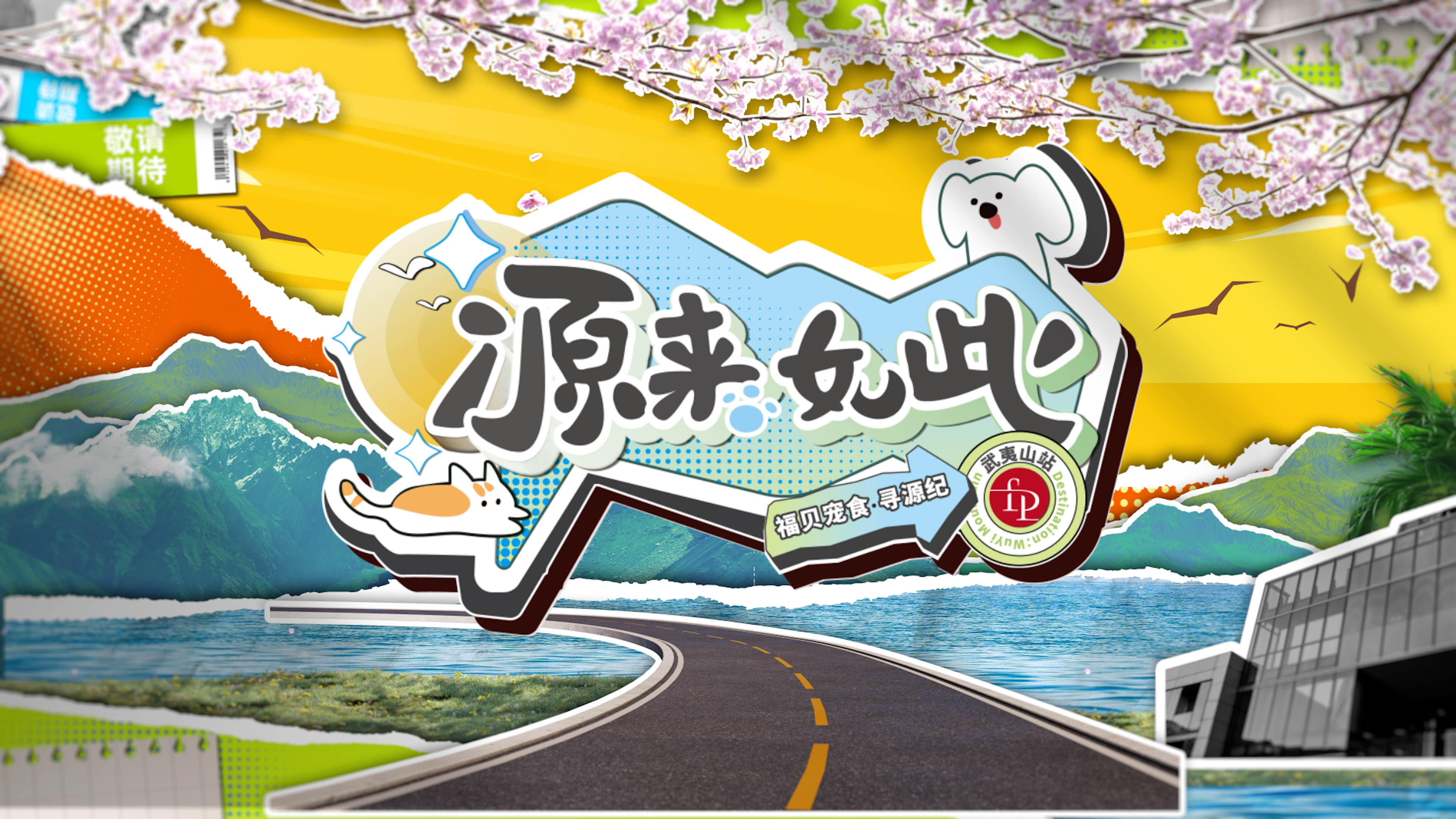 打破常規(guī)，用生動的方式傳遞價值——福貝寵食《尋源紀》微綜藝正式上線